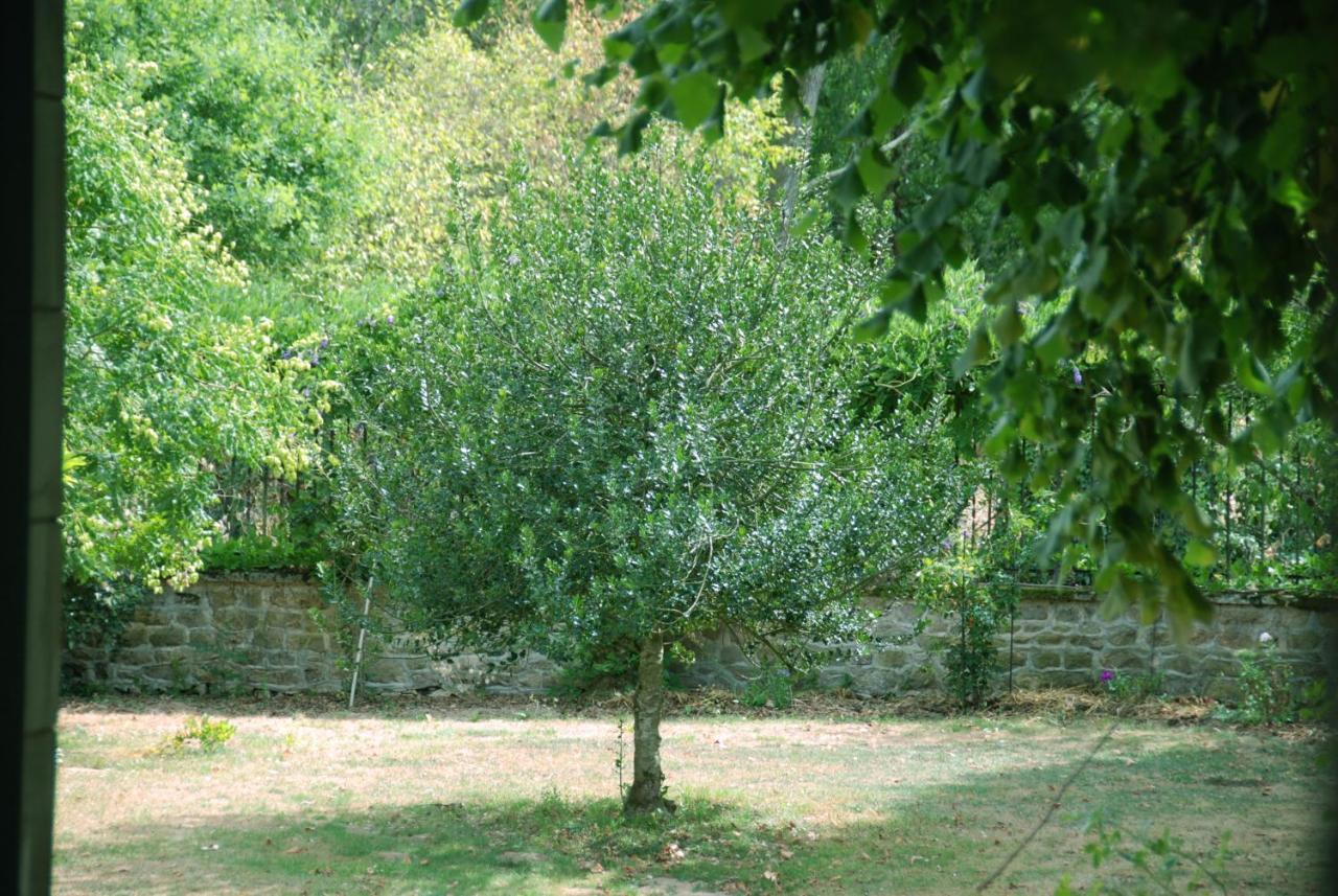 Chateau Igny Bed and Breakfast La Perche Buitenkant foto